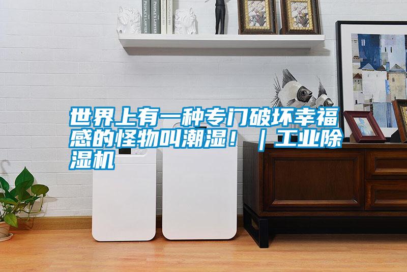 世界上有一種專門破壞幸福感的怪物叫潮濕?。I除濕機