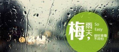 梅雨 梅雨