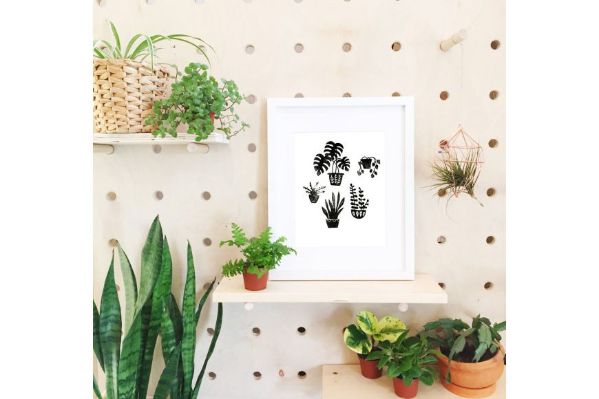 1522115598497329.jpg 除濕植物.jpg