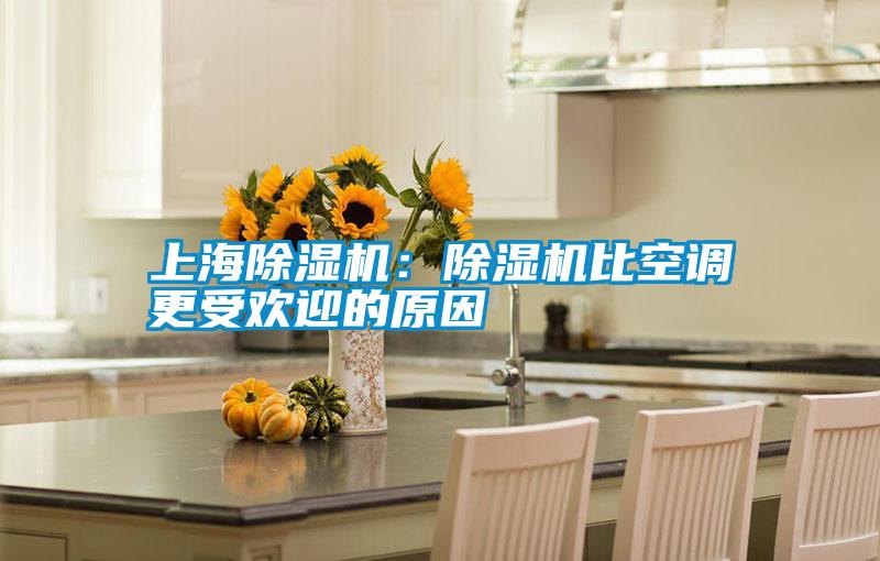 上海除濕機(jī):除濕機(jī)比空調(diào)更受歡迎的原因