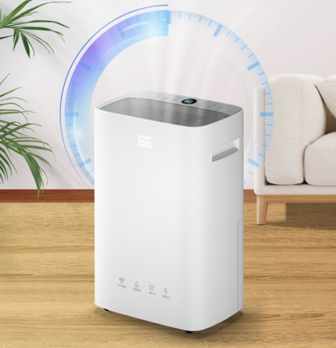 如何應對發霉，你準備好了嗎？