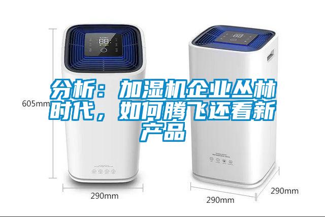 分析:加濕機企業叢林時代,如何騰飛還看新產品