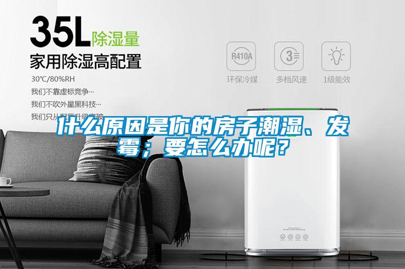 什么原因是你的房子潮濕、發(fā)霉;要怎么辦呢?