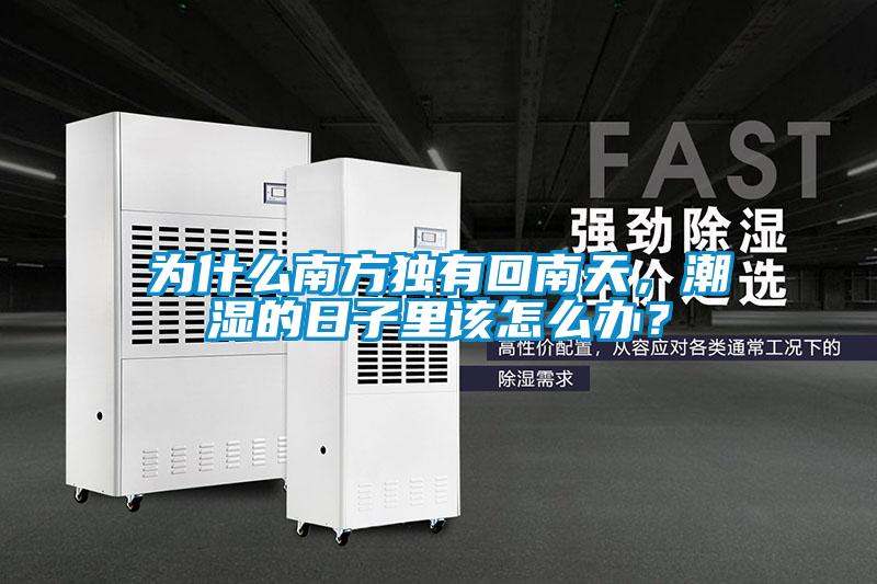 為什么南方獨有回南天，潮濕的日子里該怎么辦？