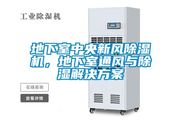 地下室中央新風除濕機，地下室通風與除濕解決方案