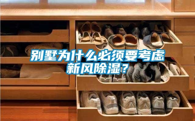 別墅為什么必須要考慮新風(fēng)除濕?