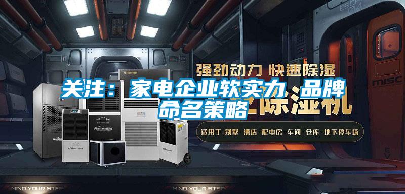 關注:家電企業軟實力 品牌命名策略