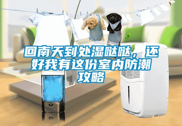 回南天到處濕噠噠,還好我有這份室內(nèi)防潮攻略