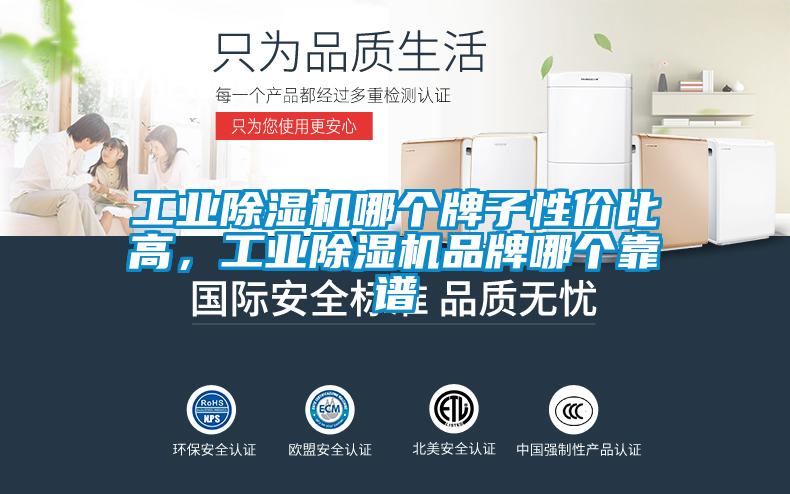 工業除濕機哪個牌子性價比高，工業除濕機品牌哪個靠譜