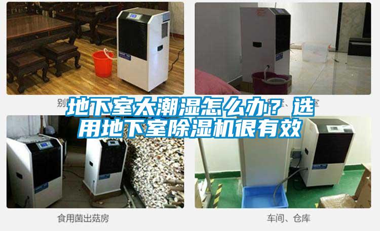 地下室太潮濕怎么辦?選用地下室除濕機(jī)很有效