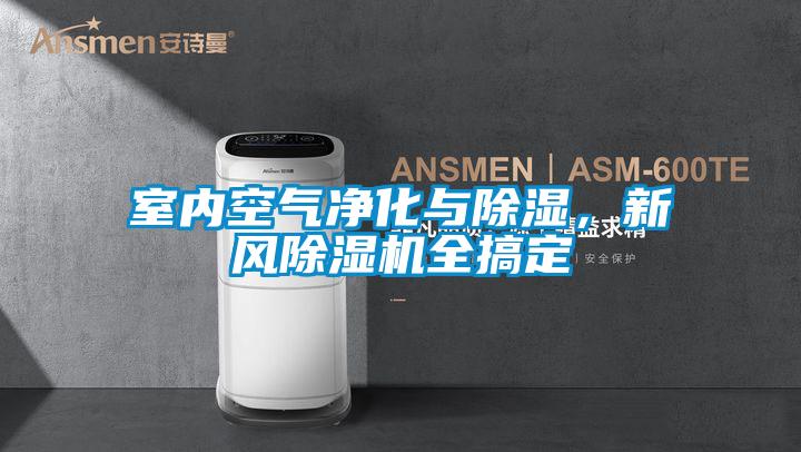 室內空氣凈化與除濕,新風除濕機全搞定