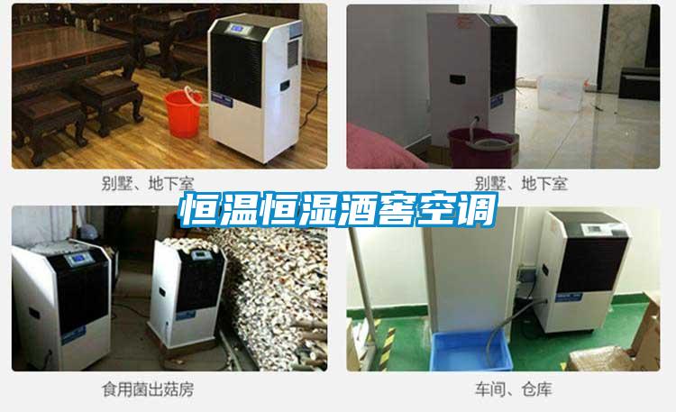 恒溫恒濕酒窖空調