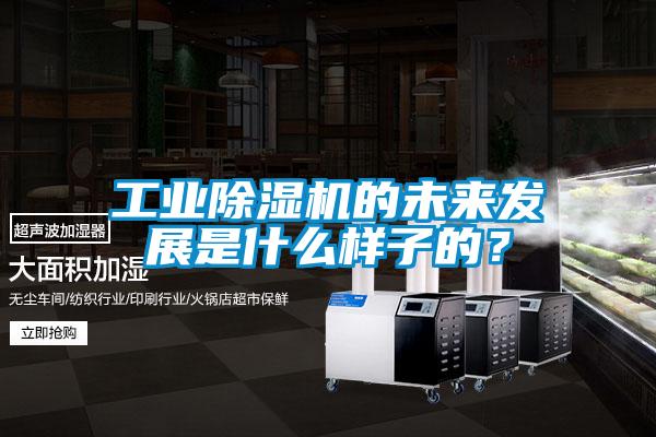 工業(yè)除濕機的未來發(fā)展是什么樣子的？