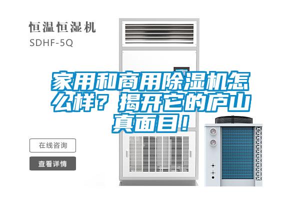 家用和商用除濕機(jī)怎么樣?揭開(kāi)它的廬山真面目!