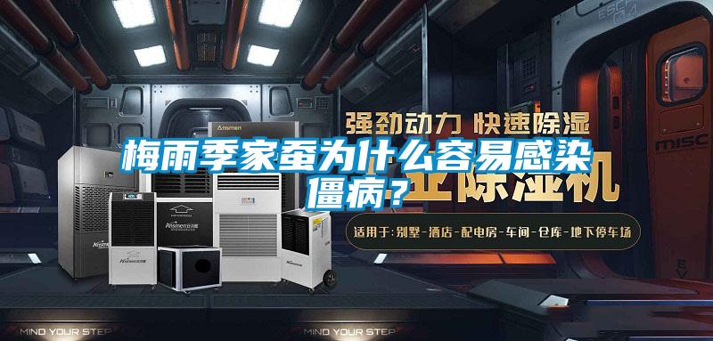 梅雨季家蠶為什么容易感染僵病?