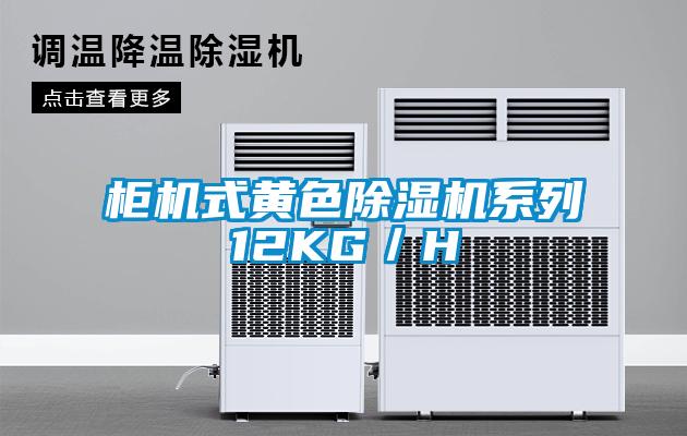 柜機式黃色除濕機系列12KG/H