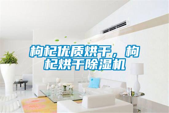 枸杞優質烘干，枸杞烘干除濕機