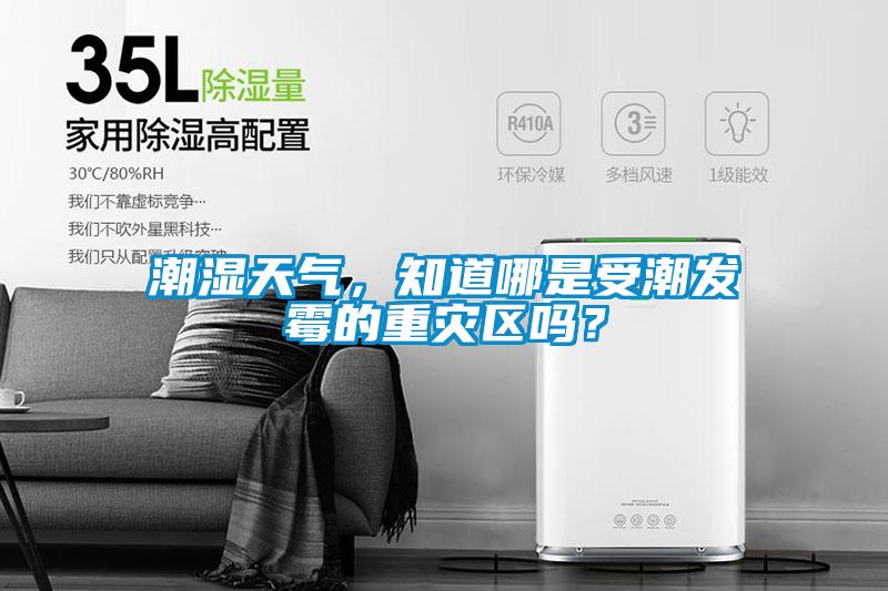 潮濕天氣，知道哪是受潮發(fā)霉的重災(zāi)區(qū)嗎？