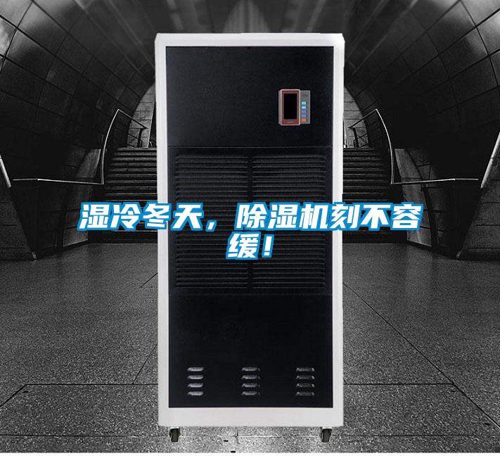 濕冷冬天,除濕機刻不容緩!