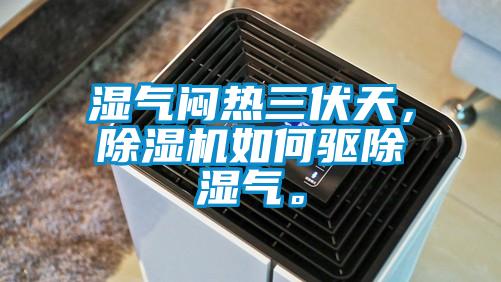 濕氣悶熱三伏天,除濕機如何驅除濕氣。