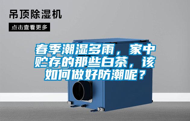 春季潮濕多雨,家中貯存的那些白茶,該如何做好防潮呢?