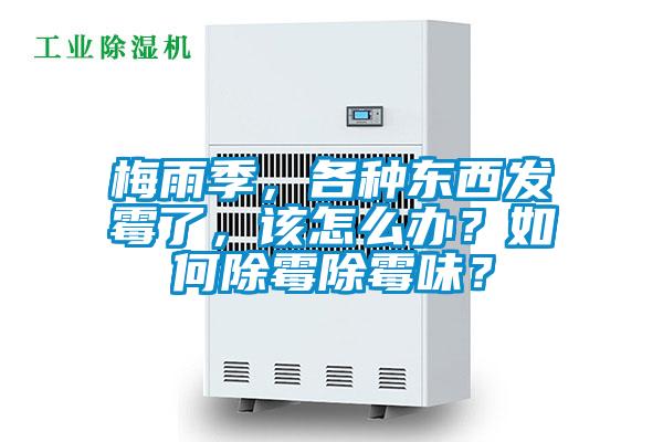 梅雨季,各種東西發霉了,該怎么辦?如何除霉除霉味?