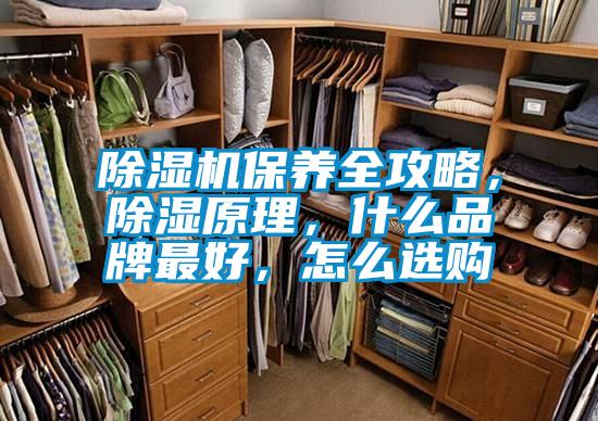 除濕機保養(yǎng)全攻略，除濕原理，什么品牌最好，怎么選購