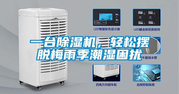 一臺(tái)除濕機(jī),輕松擺脫梅雨季潮濕困擾