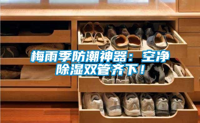 梅雨季防潮神器:空凈除濕雙管齊下!