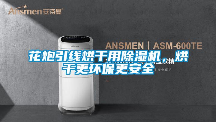 花炮引線烘干用除濕機,烘干更環保更安全