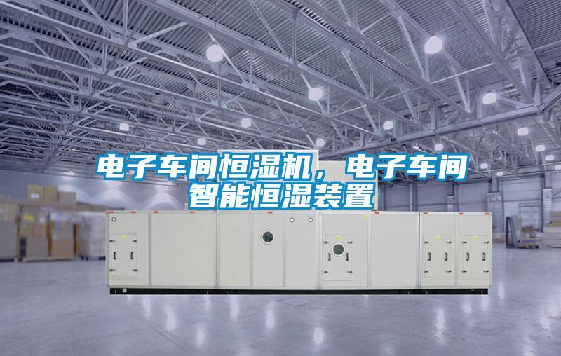 電子車間恒濕機，電子車間智能恒濕裝置