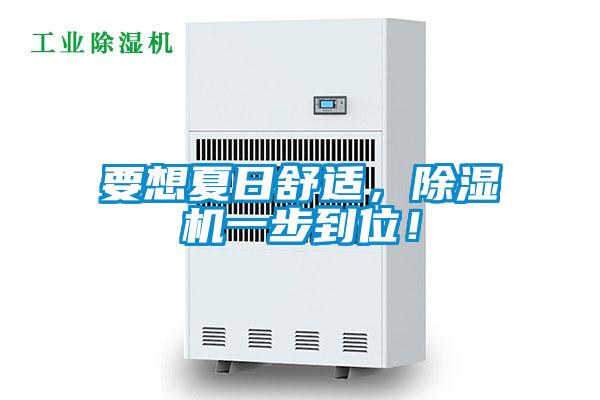 要想夏日舒適,除濕機一步到位!