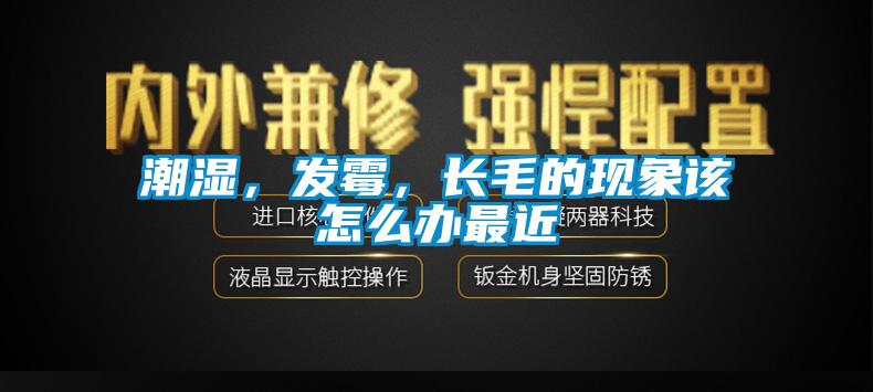 潮濕，發霉，長毛的現象該怎么辦最近