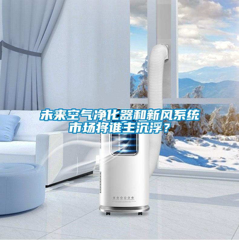未來(lái)空氣凈化器和新風(fēng)系統(tǒng)市場(chǎng)將誰(shuí)主沉浮？