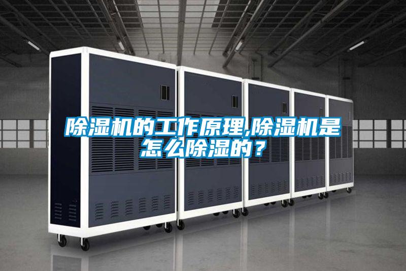 除濕機的工作原理,除濕機是怎么除濕的?