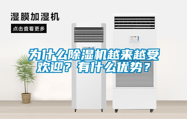 為什么除濕機越來越受歡迎？有什么優勢？