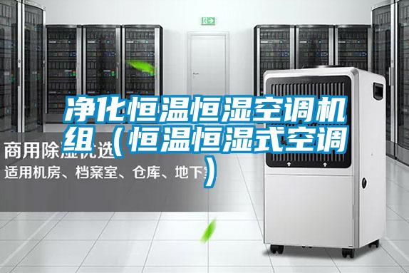 凈化恒溫恒濕空調機組(恒溫恒濕式空調)