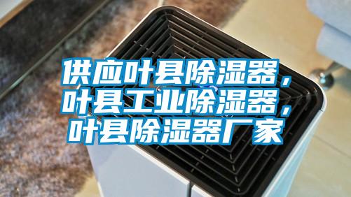 供應葉縣除濕器，葉縣工業除濕器，葉縣除濕器廠家