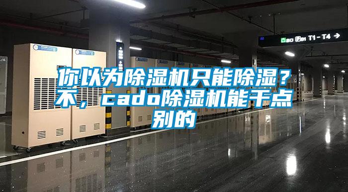 你以為除濕機只能除濕？不，cado除濕機能干點別的