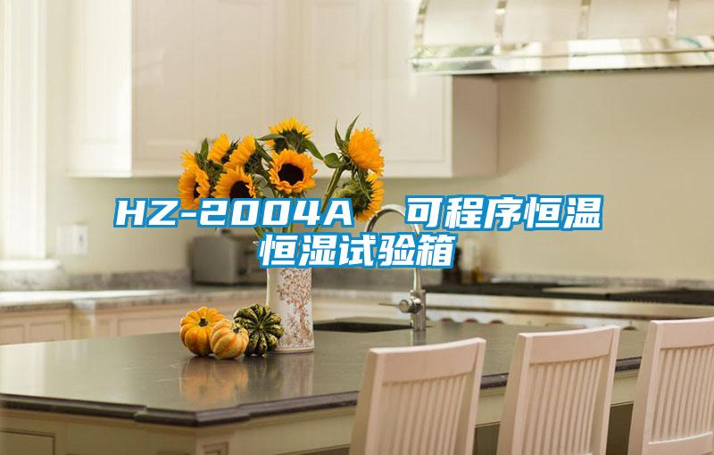 HZ-2004A 可程序恒溫恒濕試驗箱