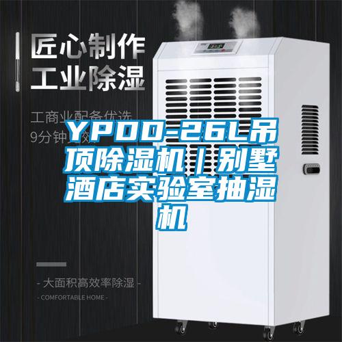 YPDD-26L吊頂除濕機|別墅酒店實驗室抽濕機