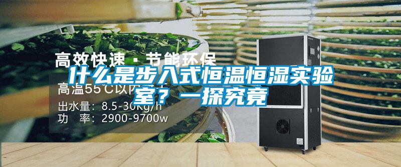 什么是步入式恒溫恒濕實驗室？一探究竟
