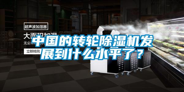 中國的轉輪除濕機發展到什么水平了？
