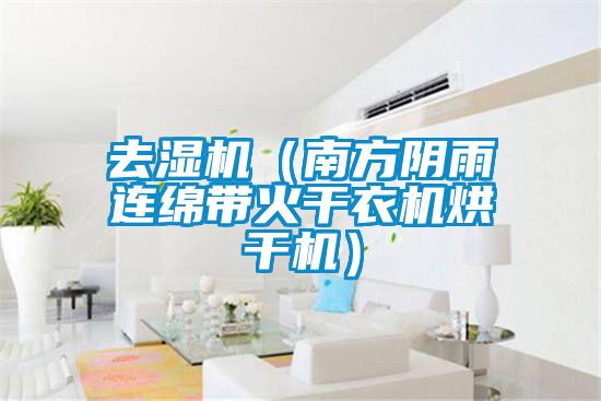 去濕機(南方陰雨連綿帶火干衣機烘干機)