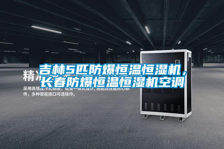 吉林5匹防爆恒溫恒濕機,長春防爆恒溫恒濕機空調