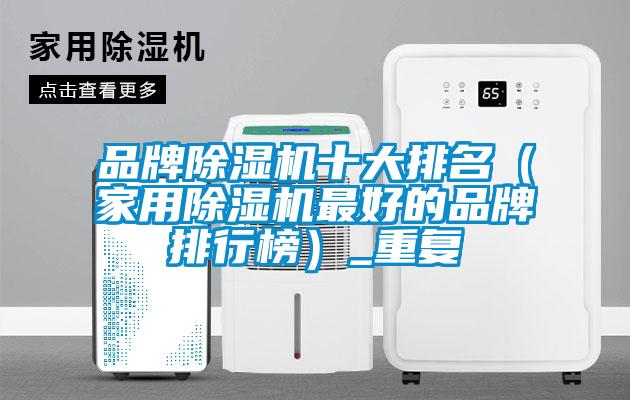 品牌除濕機十大排名(家用除濕機最好的品牌排行榜)_重復(fù)