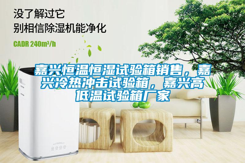 嘉興恒溫恒濕試驗箱銷售，嘉興冷熱沖擊試驗箱，嘉興高低溫試驗箱廠家