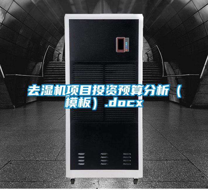 去濕機項目投資預算分析(模板).docx