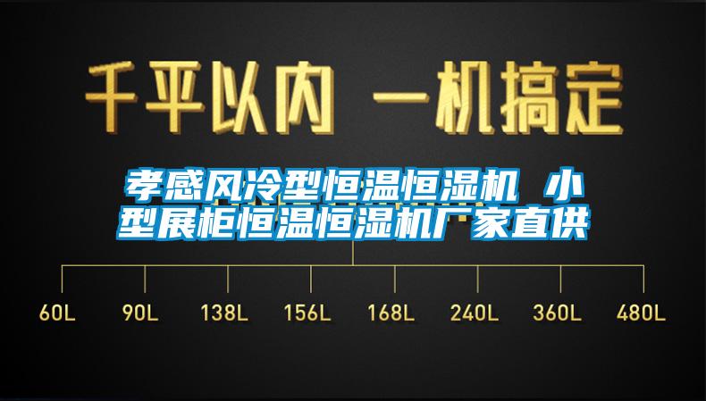 孝感風(fēng)冷型恒溫恒濕機 小型展柜恒溫恒濕機廠家直供
