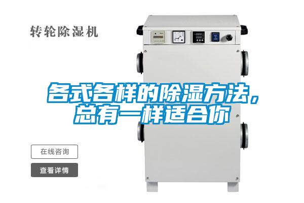 各式各樣的除濕方法,總有一樣適合你